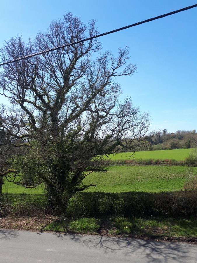 Court Barn Cottage B&B Burwash Екстериор снимка