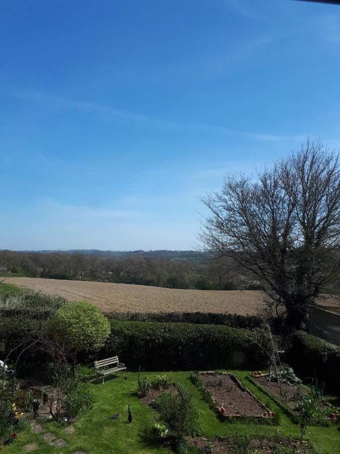 Court Barn Cottage B&B Burwash Екстериор снимка